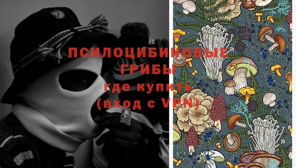 прущая мука Фурманов