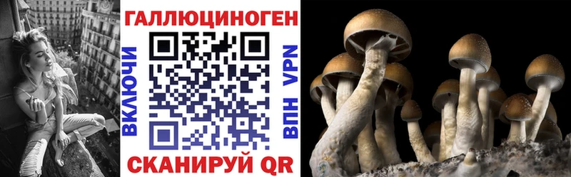 Купить где Дятьково Галлюциногенные грибы мицелий